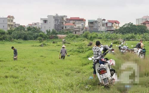Hà Nội: Người dân rủ nhau đi săn đỉa bán với giá "khủng"  | Săn đỉa, Bắt đỉa, Hà Nội, Trung Quốc, Thương lái
